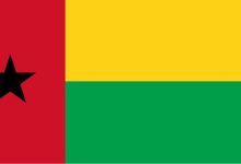 几内亚比绍-中非友好经贸发展工作委员会