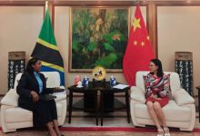 陈明健大使会见非洲开发银行坦桑尼亚代表帕崔西娅-中非友好经贸发展工作委员会