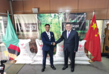 中国援赞比亚紧急粮食援助举行交接仪式-中非友好经贸发展工作委员会