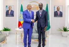 驻埃塞俄比亚大使会见埃塞外长格迪翁-中非友好经贸发展工作委员会