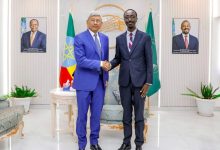 陈海大使会见埃塞外长格迪翁-中非友好经贸发展工作委员会