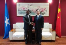 中国驻索马里大使王昱会见索农业灌溉部长马雷耶-中非友好经贸发展工作委员会