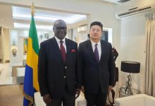 驻加蓬大使会见加蓬外长奥南加-中非友好经贸发展工作委员会