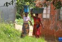 “中国井”给津巴布韦农户带来盼头-中非友好经贸发展工作委员会