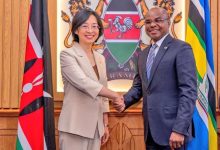 驻肯尼亚大使到任拜会肯参议长金吉-中非友好经贸发展工作委员会