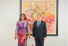 驻多哥大使拜会多总统府秘书长约翰逊-中非友好经贸发展工作委员会