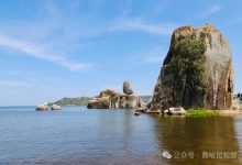 中国和非洲最大淡水湖“牵手记”-中非友好经贸发展工作委员会