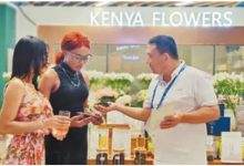 非洲好物加快进入中国市场-中非友好经贸发展工作委员会