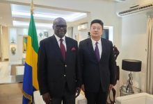 驻加蓬大使会见加蓬外长奥南加-中非友好经贸发展工作委员会