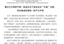 塞舌尔中国和平统一促进会坚决反对“台独”分裂、坚定推进祖国统一-中非友好经贸发展工作委员会