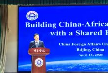 外交部非洲之角事务特使薛冰出席中非命运共同体研讨会-中非友好经贸发展工作委员会