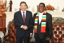 江苏省代表团拜会津巴布韦总统姆南加古瓦-中非友好经贸发展工作委员会
