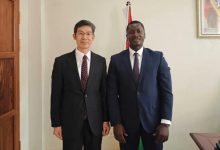 驻几内亚比绍大使会见几比新闻部长迪亚斯-中非友好经贸发展工作委员会