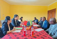 驻加蓬大使会见邦戈大学校长埃科米并走访孔子学院-中非友好经贸发展工作委员会