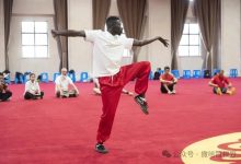 青奥会助推武术热 塞内加尔“武师”盼圆梦-中非友好经贸发展工作委员会