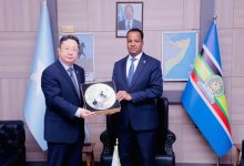 驻索马里大使拜会索新任外长德埃-中非友好经贸发展工作委员会