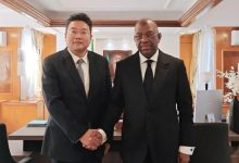 驻加蓬大使会见加蓬新任副总统巴罗-中非友好经贸发展工作委员会