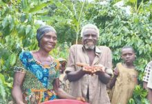 “借助中国大市场，布隆迪咖啡产业的未来充满希望”-中非友好经贸发展工作委员会