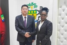 驻加蓬大使会见加新任青体和文化部长穆朗吉-中非友好经贸发展工作委员会