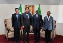驻赤道几内亚大使会见赤几外长奥约诺-中非友好经贸发展工作委员会