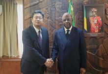 驻加蓬大使会见加副总统巴罗-中非友好经贸发展工作委员会