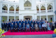 坦桑尼亚桑给巴尔总统向中国援桑医疗队授勋-中非友好经贸发展工作委员会