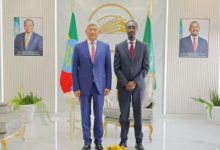 驻埃塞俄比亚大使会见埃塞外长格迪翁-中非友好经贸发展工作委员会