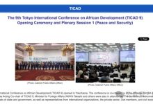 日本官方何以夸大东京非洲发展国际会议的参会元首人数？-中非友好经贸发展工作委员会