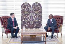 驻喀麦隆大使到任拜会喀总理恩古特-中非友好经贸发展工作委员会